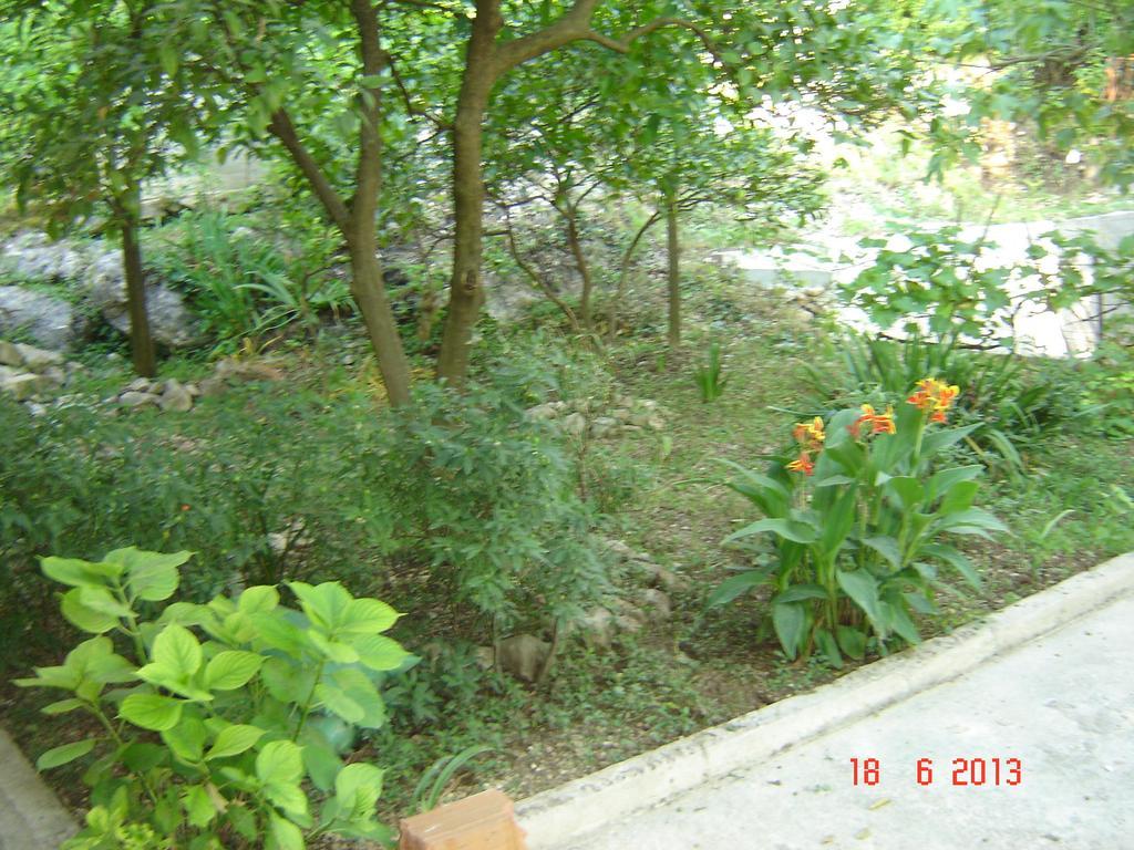 Apartments Dobrisa Котор Екстериор снимка